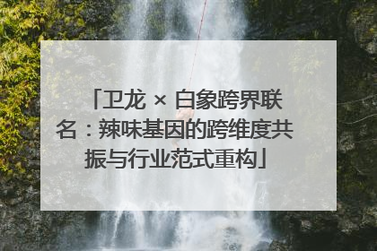 卫龙 × 白象跨界联名：辣味基因的跨维度共振与行业范式重构