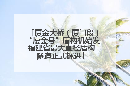 厦金大桥（厦门段）“厦金号”盾构机始发 福建省最大直径盾构隧道正式掘进