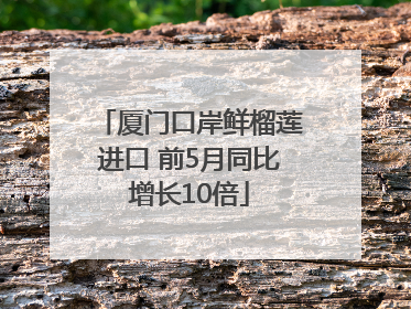 厦门口岸鲜榴莲进口 前5月同比增长10倍