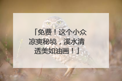 免费！这个小众凉爽秘境，溪水清透美如油画！
