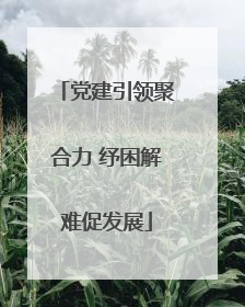 党建引领聚合力 纾困解难促发展