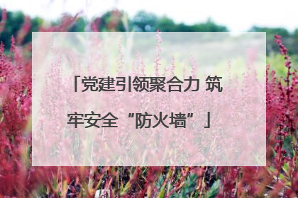 党建引领聚合力 筑牢安全“防火墙”