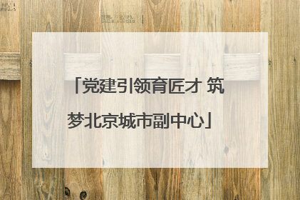 党建引领育匠才 筑梦北京城市副中心