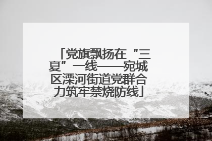党旗飘扬在“三夏”一线——宛城区溧河街道党群合力筑牢禁烧防线