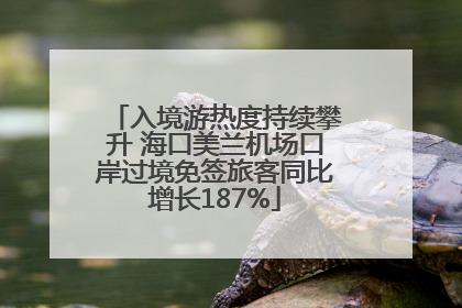 入境游热度持续攀升 海口美兰机场口岸过境免签旅客同比增长187%
