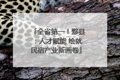 全省第一！黟县：人才赋能 绘就民宿产业新画卷