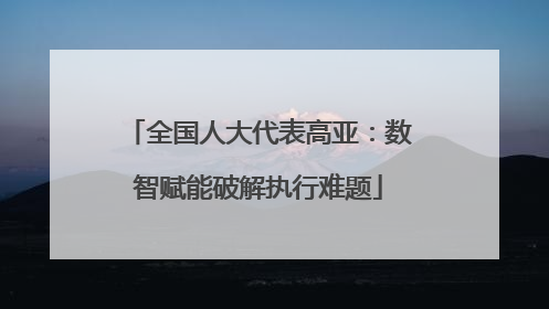 全国人大代表高亚：数智赋能破解执行难题