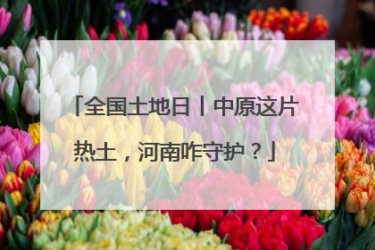 全国土地日丨中原这片热土，河南咋守护？
