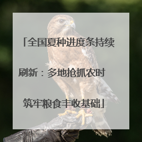 全国夏种进度条持续刷新：多地抢抓农时 筑牢粮食丰收基础