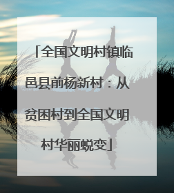 全国文明村镇临邑县前杨新村：从贫困村到全国文明村华丽蜕变
