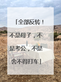 全部反转！不是母子，不是考公，不是舍不得打车