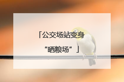 公交场站变身“晒粮场”