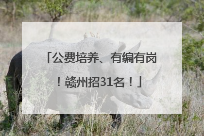 公费培养、有编有岗！赣州招31名！