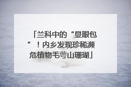 兰科中的“显眼包”！内乡发现珍稀濒危植物毛萼山珊瑚