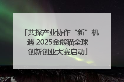 共探产业协作“新”机遇 2025金熊猫全球创新创业大赛启动