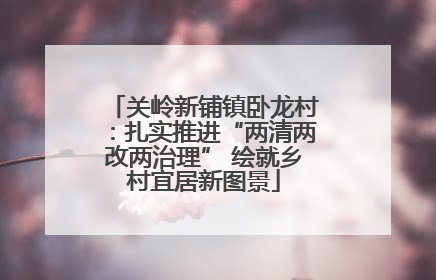 关岭新铺镇卧龙村：扎实推进“两清两改两治理” 绘就乡村宜居新图景