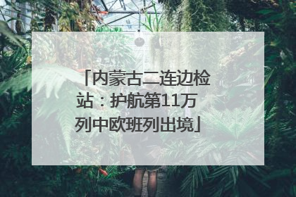 内蒙古二连边检站：护航第11万列中欧班列出境