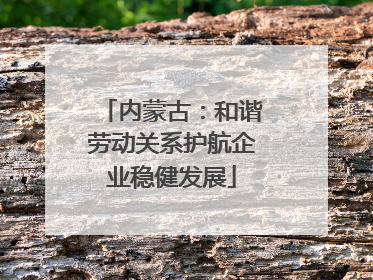 内蒙古：和谐劳动关系护航企业稳健发展
