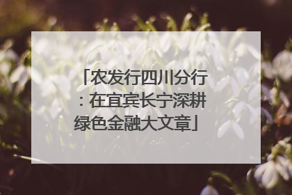 农发行四川分行：在宜宾长宁深耕绿色金融大文章