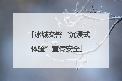 冰城交警“沉浸式体验”宣传安全