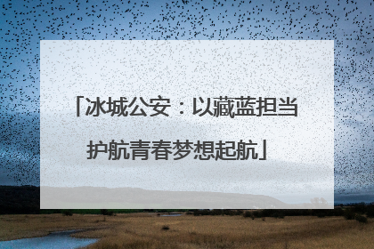 冰城公安：以藏蓝担当 护航青春梦想起航