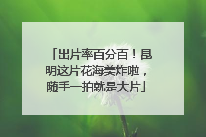 出片率百分百！昆明这片花海美炸啦，随手一拍就是大片