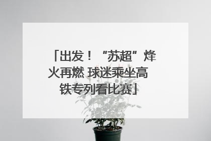出发！“苏超”烽火再燃 球迷乘坐高铁专列看比赛