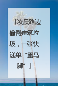 凌晨路边偷倒建筑垃圾，一张快递单“露马脚”