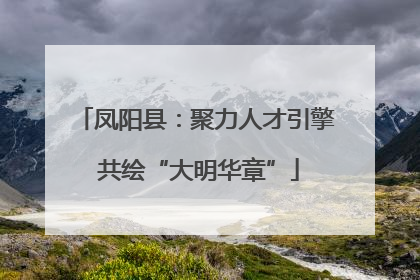 凤阳县：聚力人才引擎 共绘“大明华章”