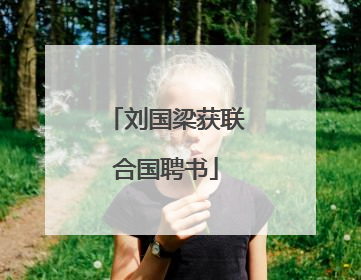 刘国梁获联合国聘书