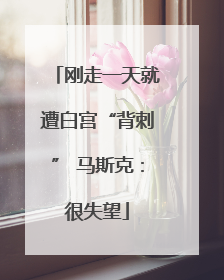 刚走一天就遭白宫“背刺” 马斯克：很失望