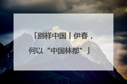 别样中国丨伊春，何以“中国林都”