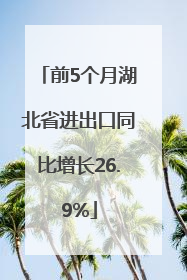 前5个月湖北省进出口同比增长26.9%