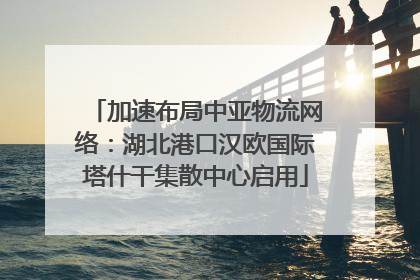 加速布局中亚物流网络：湖北港口汉欧国际塔什干集散中心启用