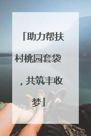 助力帮扶村桃园套袋，共筑丰收梦