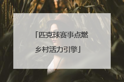 匹克球赛事点燃乡村活力引擎