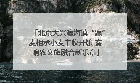 北京大兴瀛海镇“瀛”麦相承小麦丰收开镰 奏响农文旅融合新乐章
