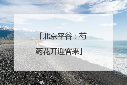 北京平谷：芍药花开迎客来