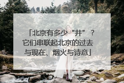 北京有多少“井”？它们串联起北京的过去与现在、烟火与诗意