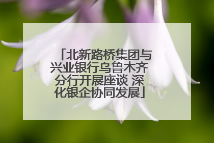 北新路桥集团与兴业银行乌鲁木齐分行开展座谈 深化银企协同发展
