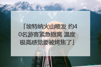 埃特纳火山喷发 约40名游客紧急撤离 温度极高感觉要被烤焦了