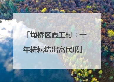埇桥区夏王村：十年耕耘结出富民瓜