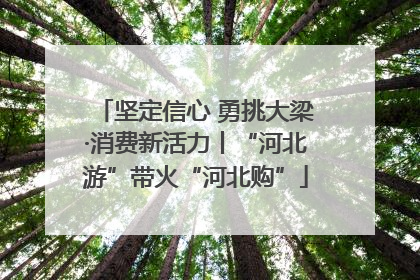 坚定信心 勇挑大梁·消费新活力丨“河北游”带火“河北购”