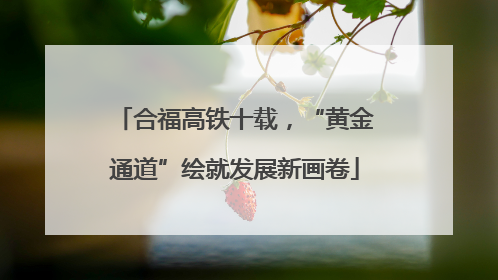 合福高铁十载，“黄金通道”绘就发展新画卷