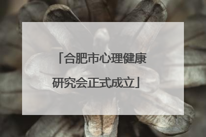合肥市心理健康研究会正式成立