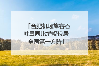 合肥机场旅客吞吐量同比增幅位居全国第一方阵