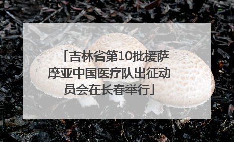 吉林省第10批援萨摩亚中国医疗队出征动员会在长春举行