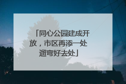 同心公园建成开放，市区再添一处遛弯好去处