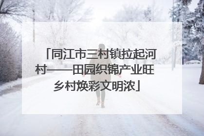 同江市三村镇拉起河村——田园织锦产业旺 乡村焕彩文明浓