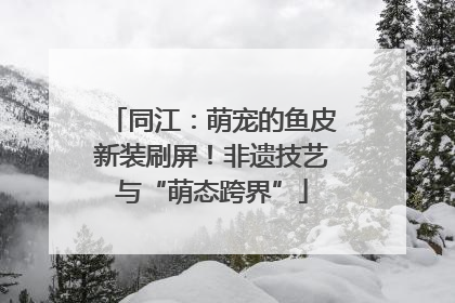 同江：萌宠的鱼皮新装刷屏！非遗技艺与“萌态跨界”